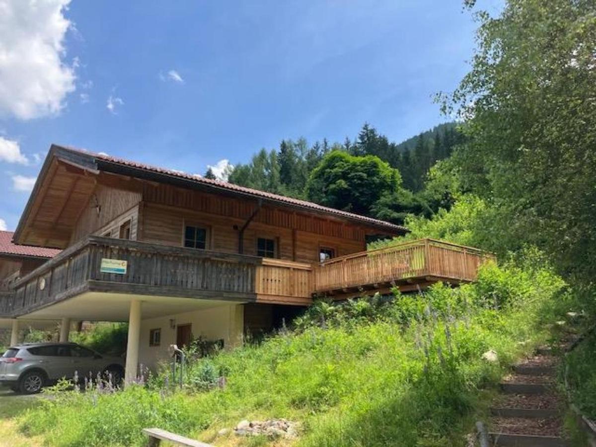 Chalet Venus Patergassen Buitenkant foto