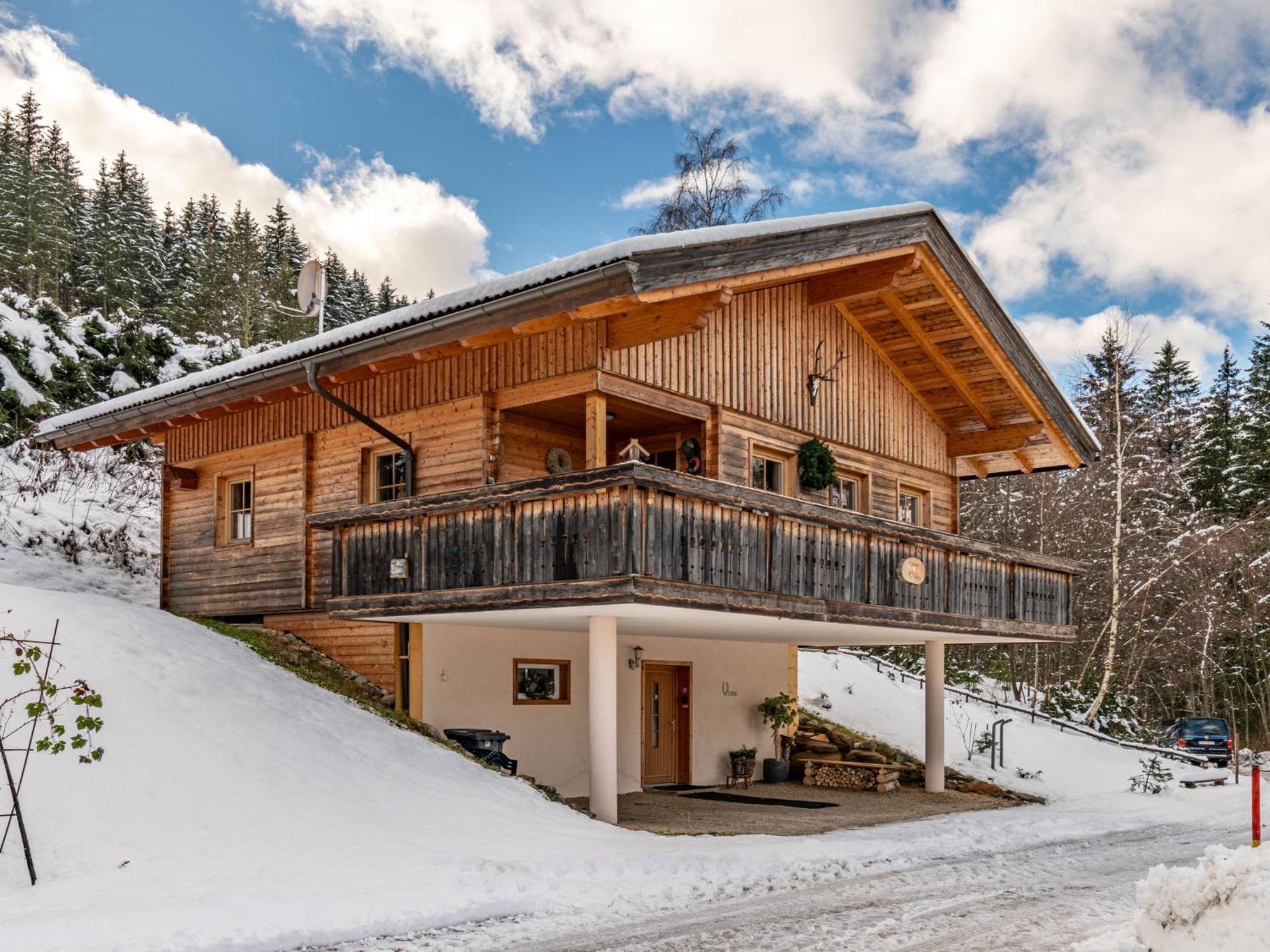 Chalet Venus Patergassen Buitenkant foto
