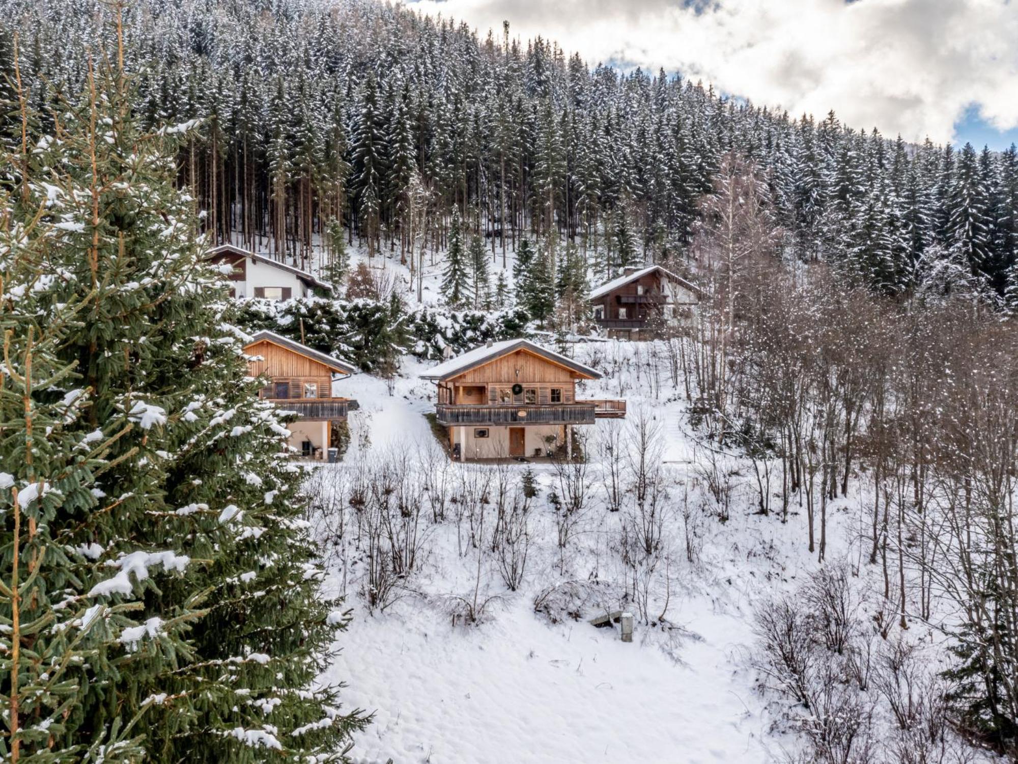 Chalet Venus Patergassen Buitenkant foto